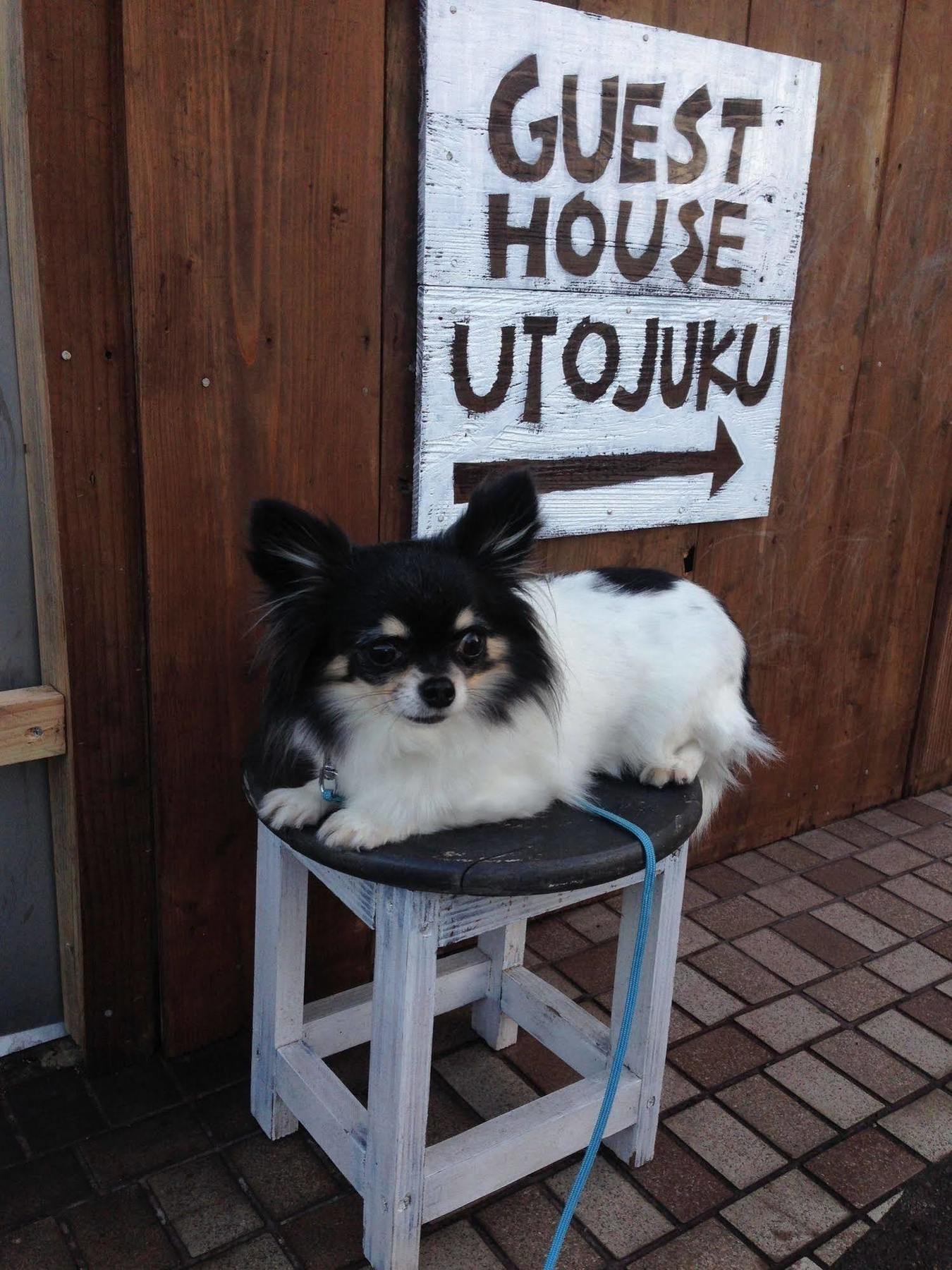 Goto Guest House Utojuku Εξωτερικό φωτογραφία